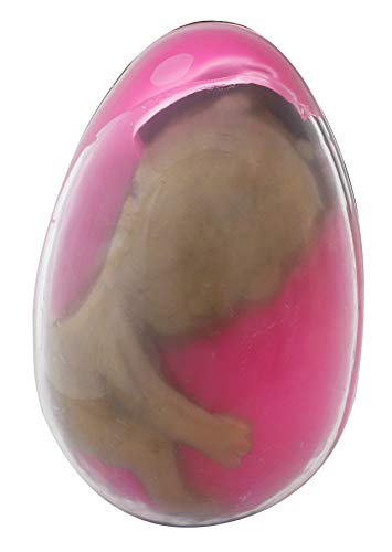 Toyland® 8.5cm Alien Egg Toy - Alien In Goo & Plastic Egg - Novedad y mordazas