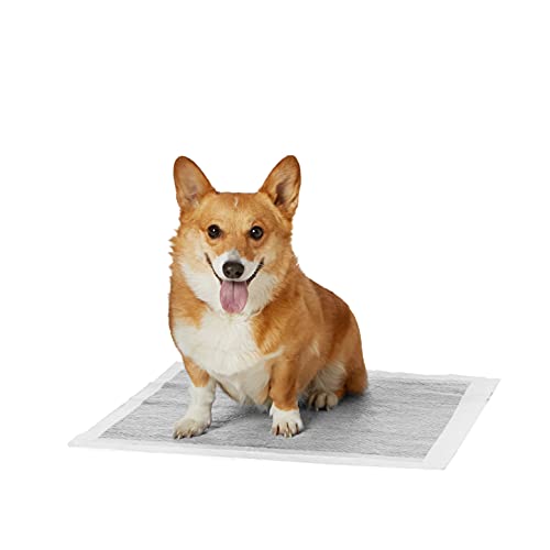 Amazon Basics Almohadillas de adiestramiento de perros y cachorros, carbón para control de olor, a prueba de fugas con superficie de secado rápido, regular, 80 unidades