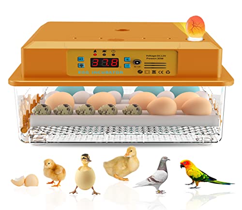 Hethya Incubadora automática de huevo, incubadora de pollos para el hogar, controlador de la granja, 16 – 36 huevos (orange-16)