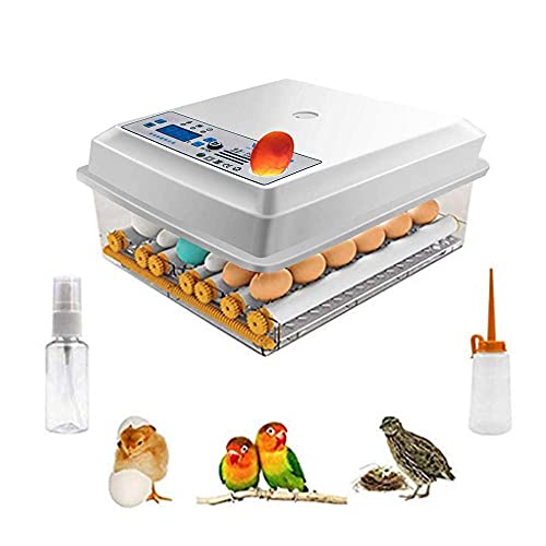 Incubadora de huevos Kacsoo Mini incubadora con Pantalla Digital de 16 huevos con volteo y eclosión automáticos incubadora de Huevos para gallinas, Patos, Gansos, codornices, Uso doméstico, etc