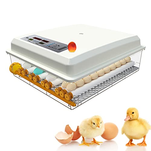 Hethya Incubadoras de Huevos Automaticas Incubadora de Codornices Control de temperatura Monitoreo de humedad 64 Huevos incubadora de Granja Casera Incubadora de Pollos