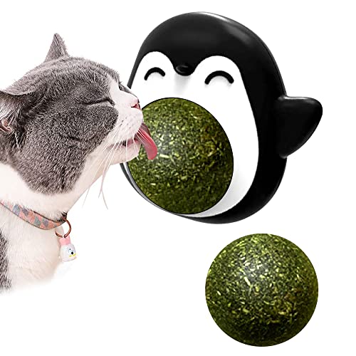 Bola Catnip Juguetes para Gatos Pelota interactiva para Gato Una Bola de Hierba gatera Que Gira 360º con Tapa de Almacenamiento y 1 Bola de Hierba gatera reemplazable para Gatos