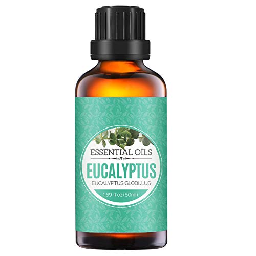 Hojas Eucalipto Mercadona ️ 【TOP 10 PRECIOS】 • junio 2024