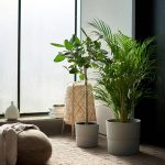 Plantas Interior Ikea