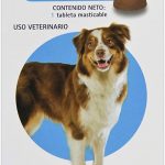 Bravecto Perros Amazon