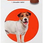 Bravecto Precio Amazon