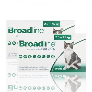 Broadline Gatos Amazon