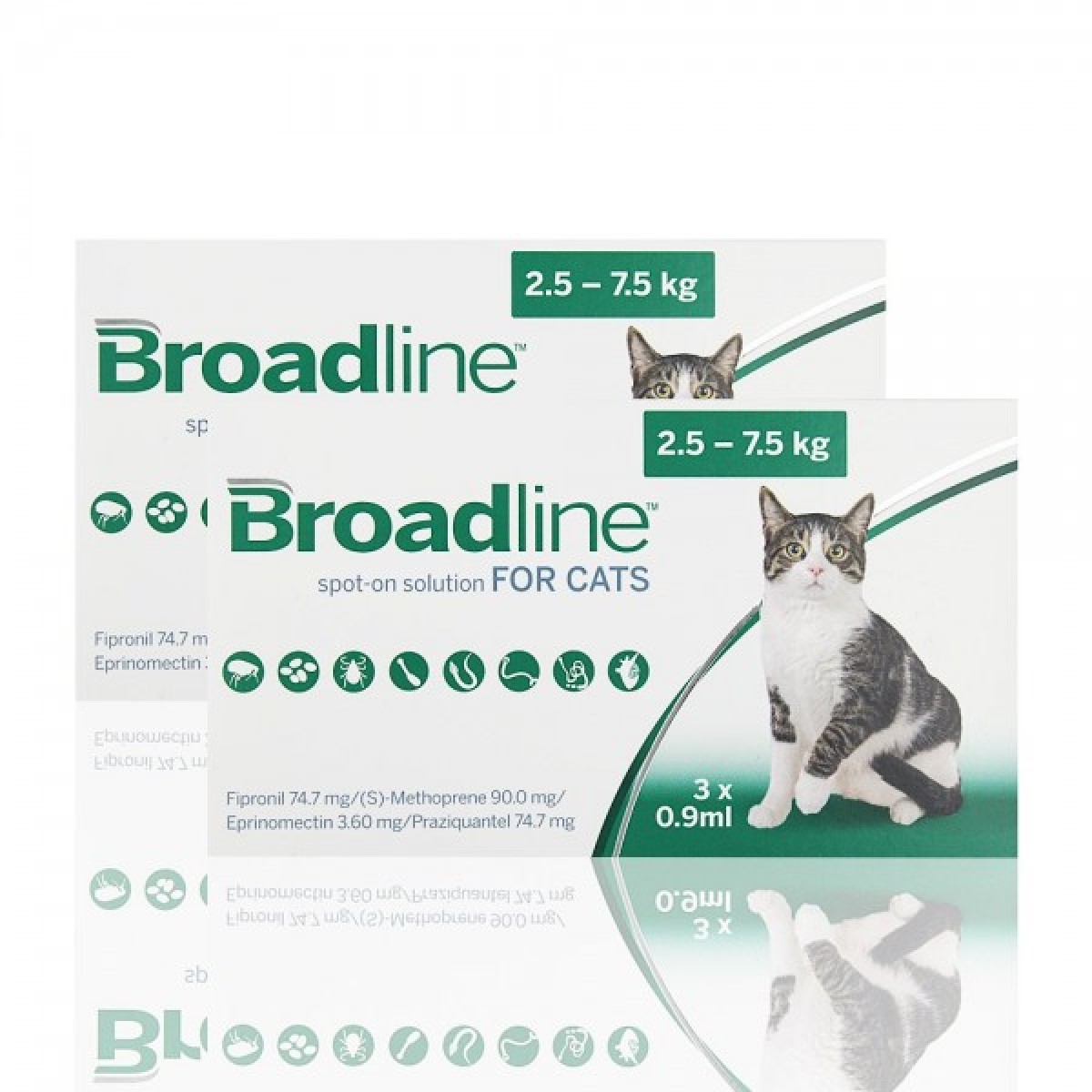 Broadline Gatos Amazon
