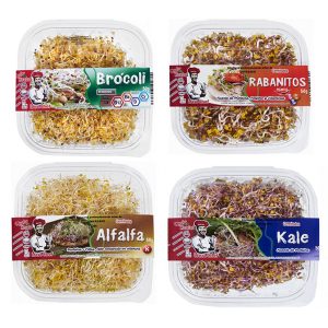 Brotes Brócoli Mercadona