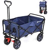 Carrito Playa Leroy Merlin