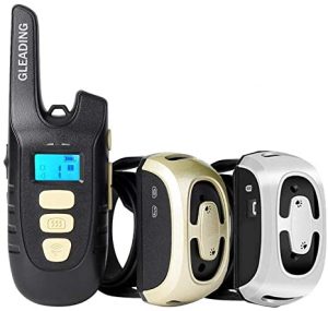 Collar Adiestramiento Perros Amazon