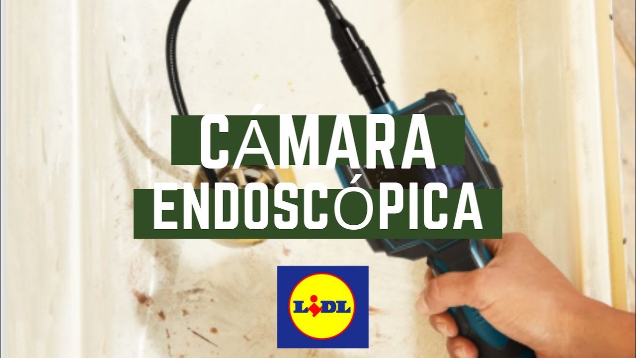 Endoscopio Lidl