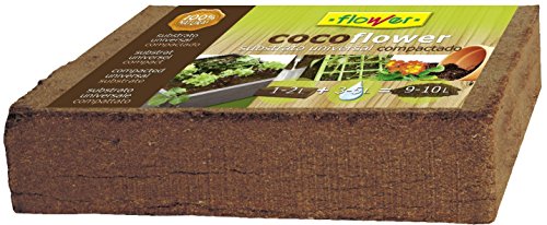 Fibra De Coco Leroy Merlin