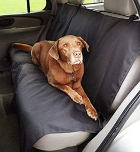 Funda Coche Amazon
