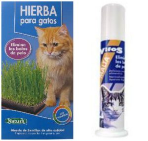 Hierba Para Gatos Mercadona