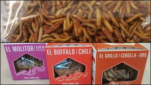 Insectos Carrefour