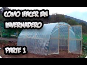 Invernadero Bricomart