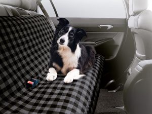 Manta Coche Perro Lidl