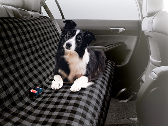 Manta Coche Perro Lidl