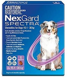 Nexgard Spectra Amazon