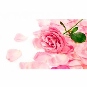 Pétalos Rosa Carrefour
