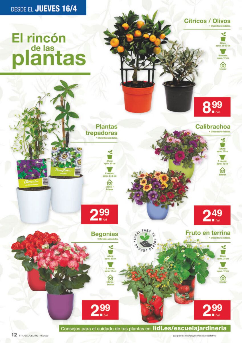 Plantas Lidl
