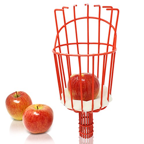 Recogedor Fruta Leroy Merlin