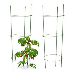 Soportes Para Plantas Trepadoras Leroy Merlin