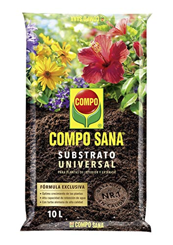 Tierra Plantas Lidl