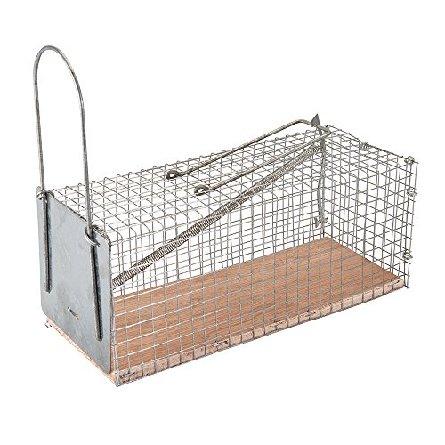 Trampas Ratas Leroy Merlin