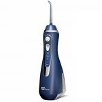 Waterpik Wp 300 Carrefour Waterpik Wp 300 Carrefour