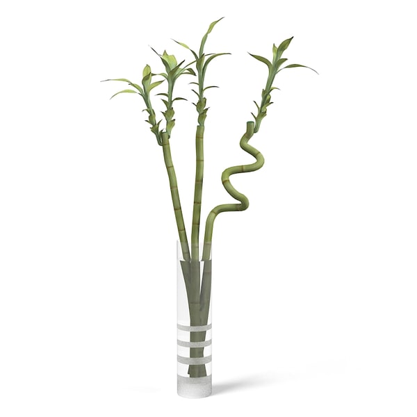 Bambú Ikea