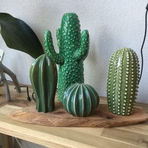 Cactus Decoración Ikea
