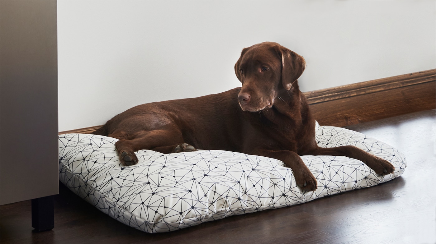 Camas Para Perros Ikea