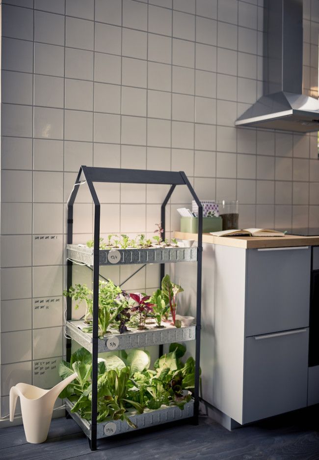 Cultivo Hidropónico Ikea