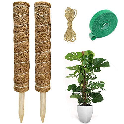 Fibra Coco Ikea