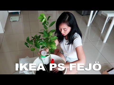 Macetas Autorriego Ikea