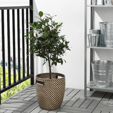 Maceteros Altos Ikea