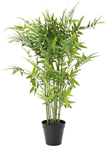 Planta Bambú Ikea