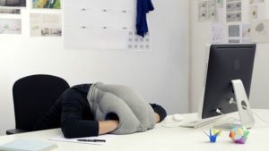 Almohada Avestruz