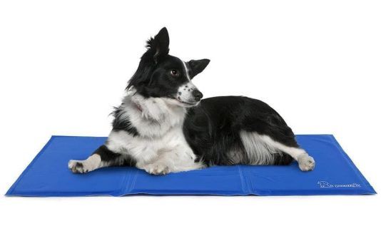 Cama Refrigerante Perro