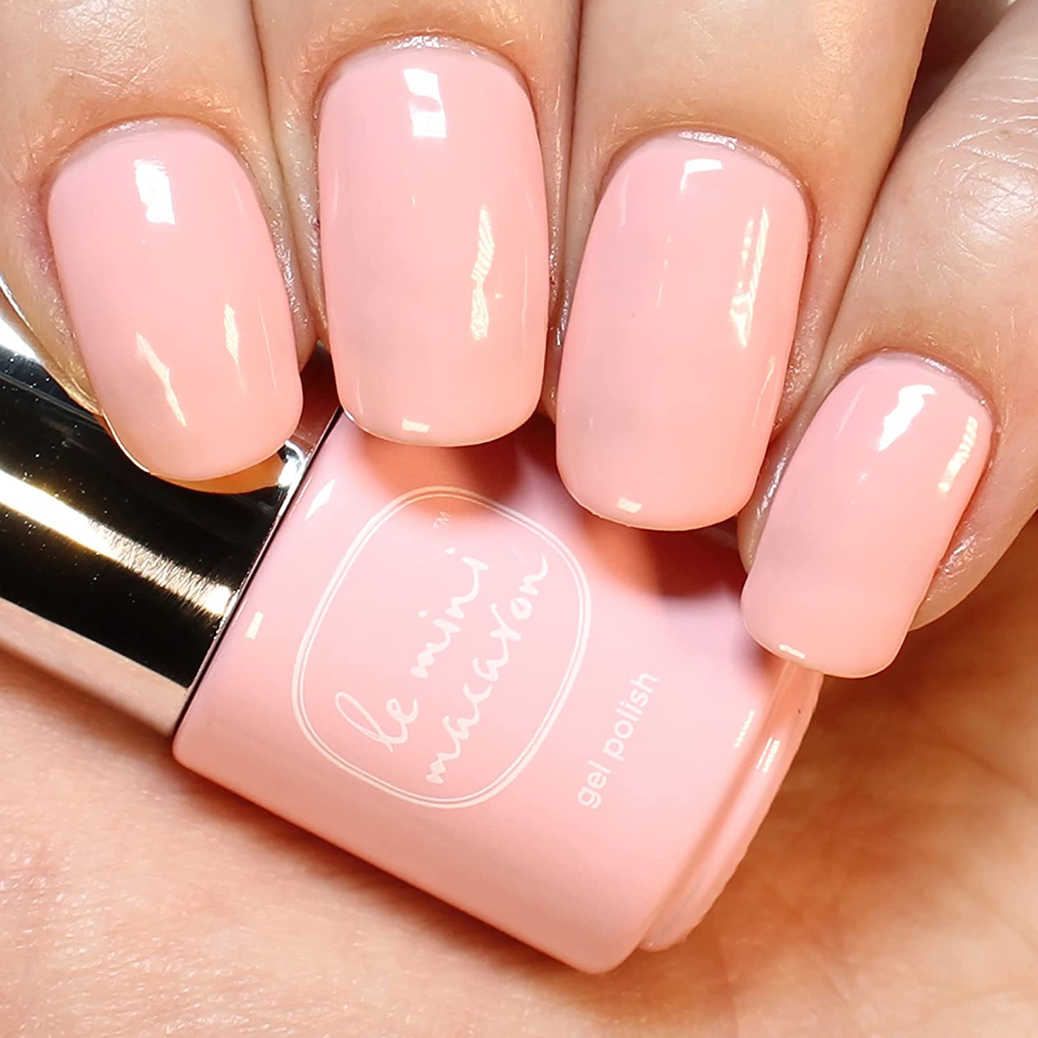Le Mini Macaron Primor