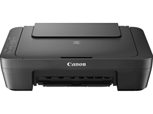 Canon Pixma Mg2550S Media Markt
