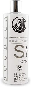 Champú Sin Sulfatos Boudica