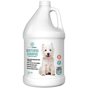 Champú Sin Sulfatos Para Perros