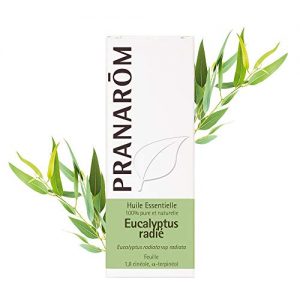 Aceite De Eucalipto Mercadona