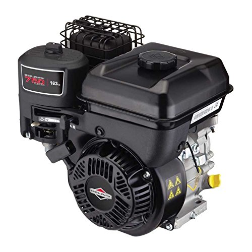 Cortacésped Gasolina Motor Briggsstatton 750