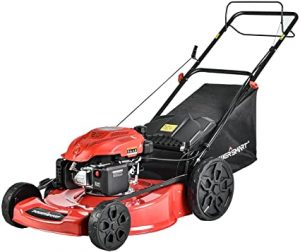 Cortacésped Motor