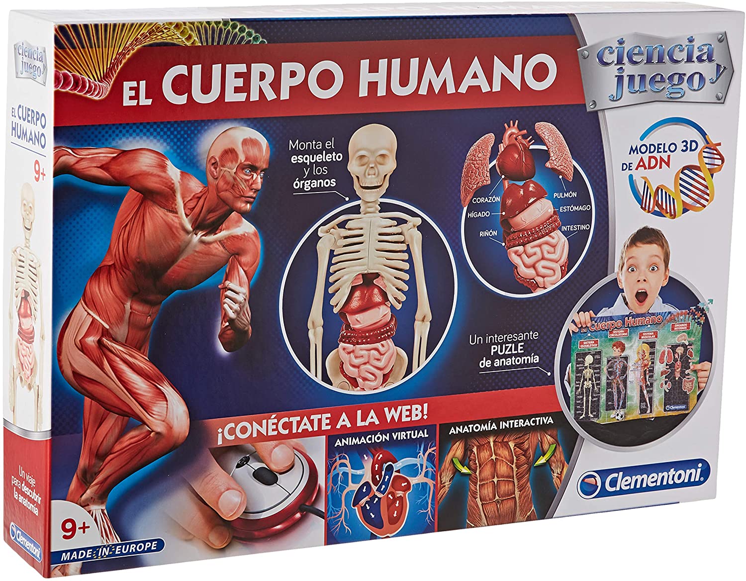 Juguetes Cuerpo Humano Niños