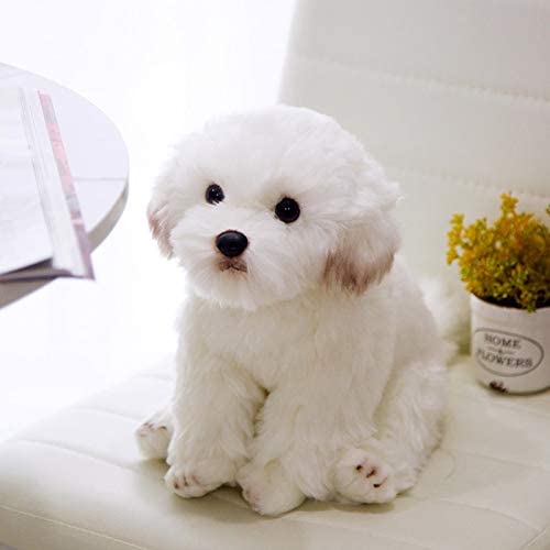 Juguetes Para Bichon Maltes